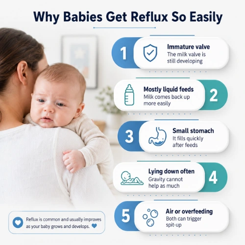 Infographic explaining common causes of infant reflux including immature digestive valve, liquid feeds, small stomach size, and lying down frequently.